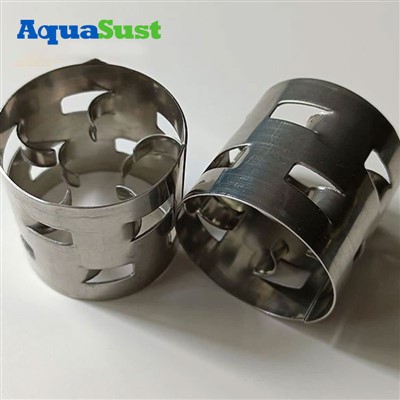 Metall- und Kunststoff -Pall -Ring